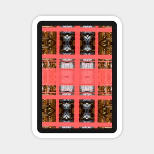 Living Coral Pantone Colour of the Year 2019 pattern decoration with neoclassical architecture Magnet