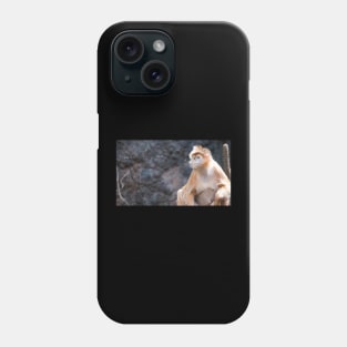 Bronx Zoo Monkey Phone Case