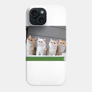 The chubby cats gangs Phone Case