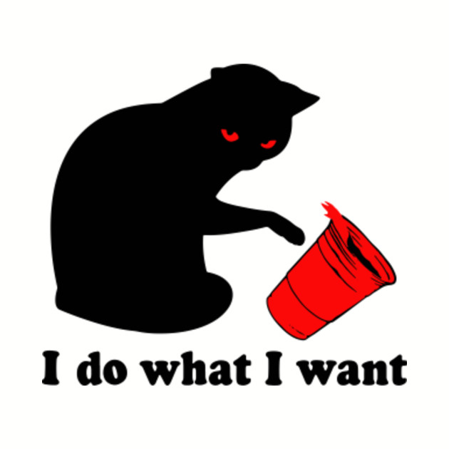 I Do What I Want Cat Shirt Funny Cat Pet Lover Black Cat
