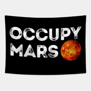 'Occupy Mars' Terraform Space Tapestry