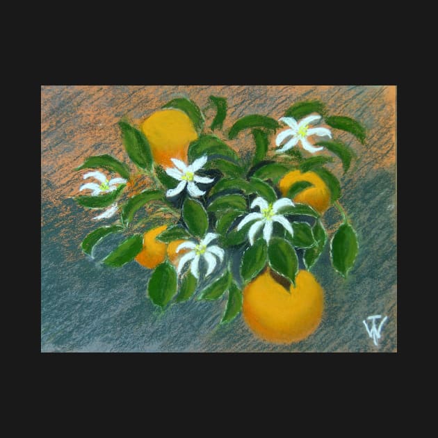 " Oranges " by WILT