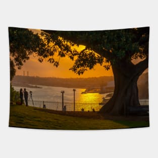 Sunset on Sydney Harbour, Observatory Hill Park, Sydney, NSW, Australia Tapestry