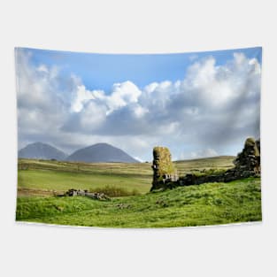 The ruins of Finlaggan on Islay, Scotland Tapestry