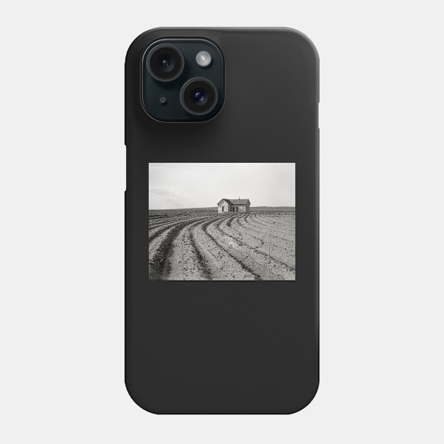 Cotton Fields, 1938. Vintage Photo Phone Case by historyphoto