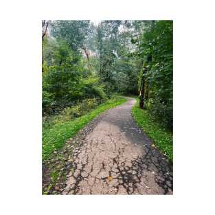 Late September Morning New England Nature Walk - winding path T-Shirt