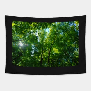 Canopy Tapestry