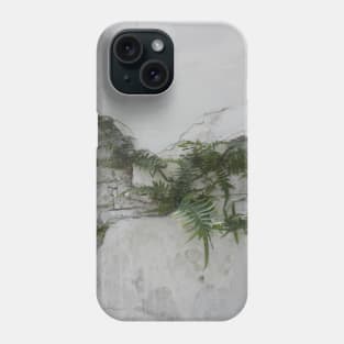 Fern Covered Wall at Lafayette Cemetery in New Orleans Phone Case