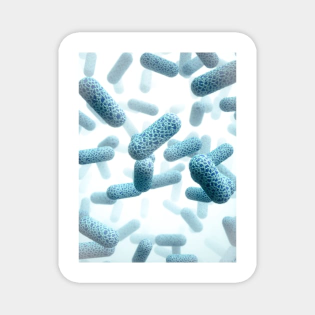 E. coli bacteria, illustration (C024/3389) Magnet by SciencePhoto