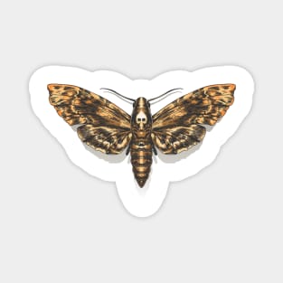 Deaths Head Hawkmoth Magnet