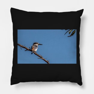 Reb-backed Kingfisher Pillow