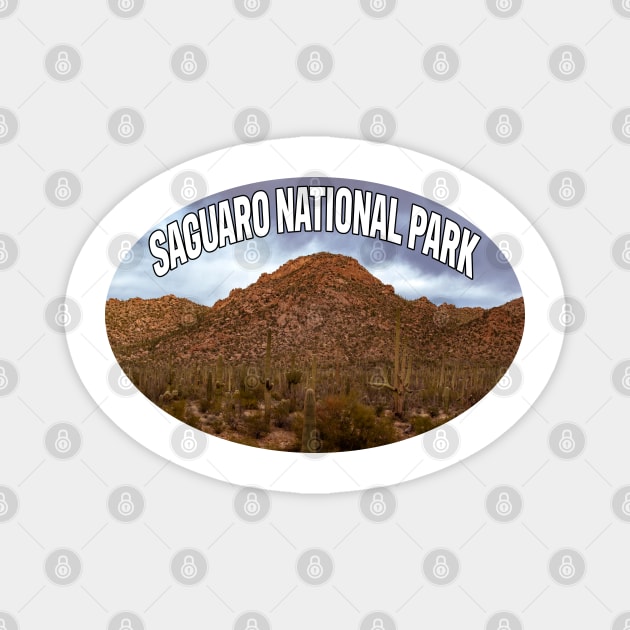 Saguaro National Park Magnet by stermitkermit