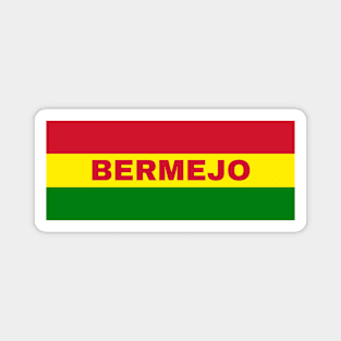 Bermejo City in Bolivian Flag Colors Magnet