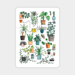 House plants! Magnet