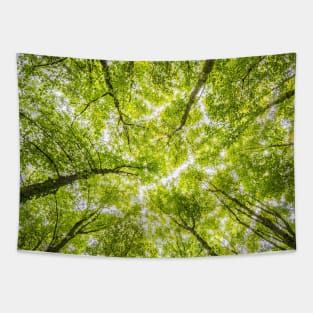 SCENERY 24 - Green Tree Forest Leaf Nature Tapestry