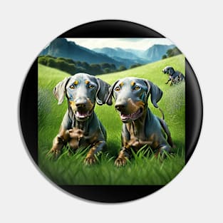 Weimaraner Puppies Pin