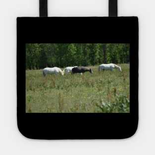 Wild Horse Herd Tote