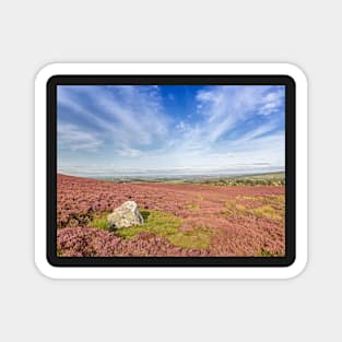 Hexhamshire Common - Northumberland Magnet