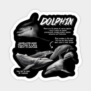 Dolphin Fun Facts Magnet