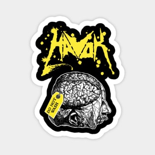 HAVOK band Magnet