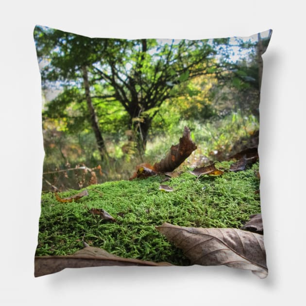 Fallen Tree Covered in Autumn Moss and Leaves Pillow by Natural Distractions