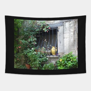 Window in the Provence with flowers. Tapestry