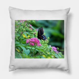 Butterfly On Pentas Flower Pillow