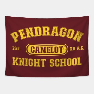 Pendragon School Tapestry