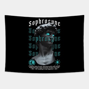 Sophrosyne - greek sculpture in streetwear style Tapestry