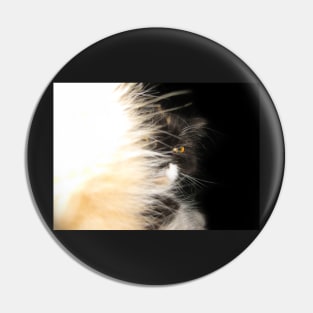 Fluffy Calico Cat Pin