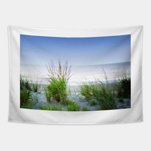 Sea Oats On The Dune Tapestry by JimDeFazioPhotography