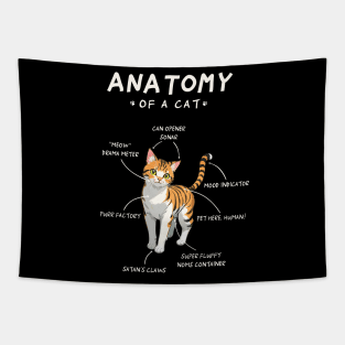 Cat Anatomy - funny, cute, cat gift idea Tapestry