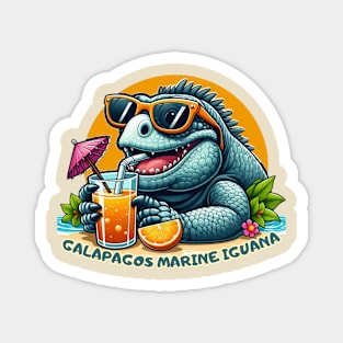 Galapagos marine iguana drinking juice and enjoying summer Magnet