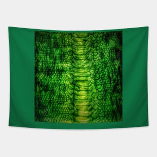 Crocodile skin Tapestry