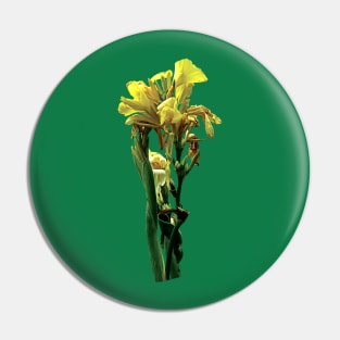 Cannas - Closeup of Yellow Canna Pin