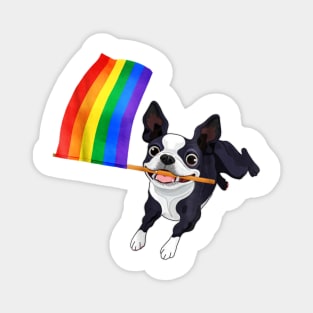 Boston Terrier Gay Pride Flag Magnet