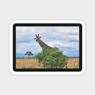 African Giraffe Magnet