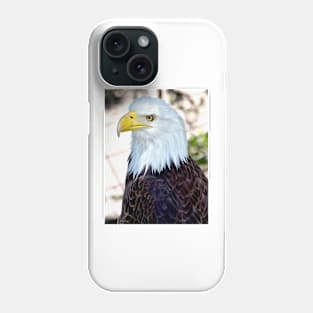 American Bald Eagle Phone Case