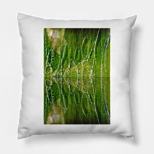 Fountain Reflections Pillow