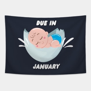 Due in January Mom to Be Gift Tapestry