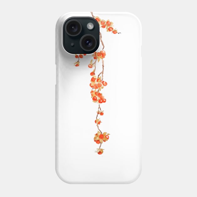 orange Phone Case by colorandcolor