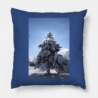 Snowy Evergreen tree with a Star Pillow