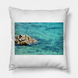 Water Rock Pillow