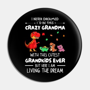 I Never Dreamed I'd Be This Crazy Grandma With The Cutest Grandkids Ever Pin