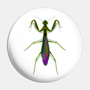 Praying Mantis Pin