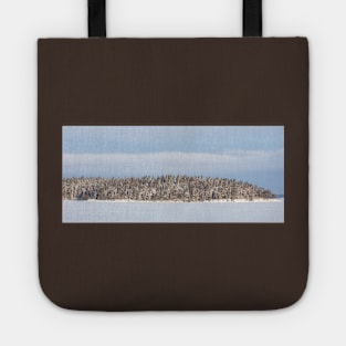 Lake landscape and forest island at winter day Tote