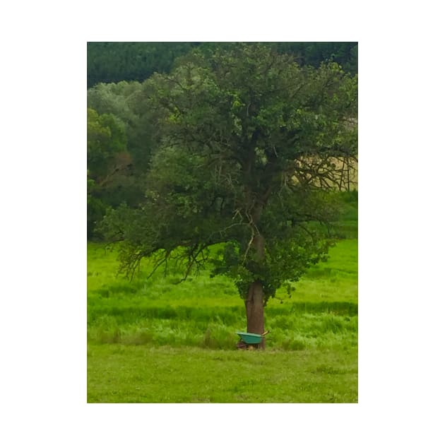 Wheelbarrow and Tree by ephotocard