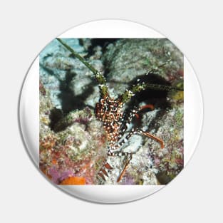 Spotted Spiny Lobster Pin