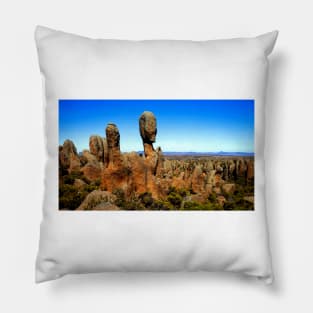 Cute Pictures Of Rocky Area Pillow