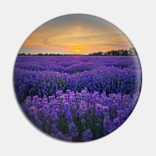 Idyllic lavender field Pin